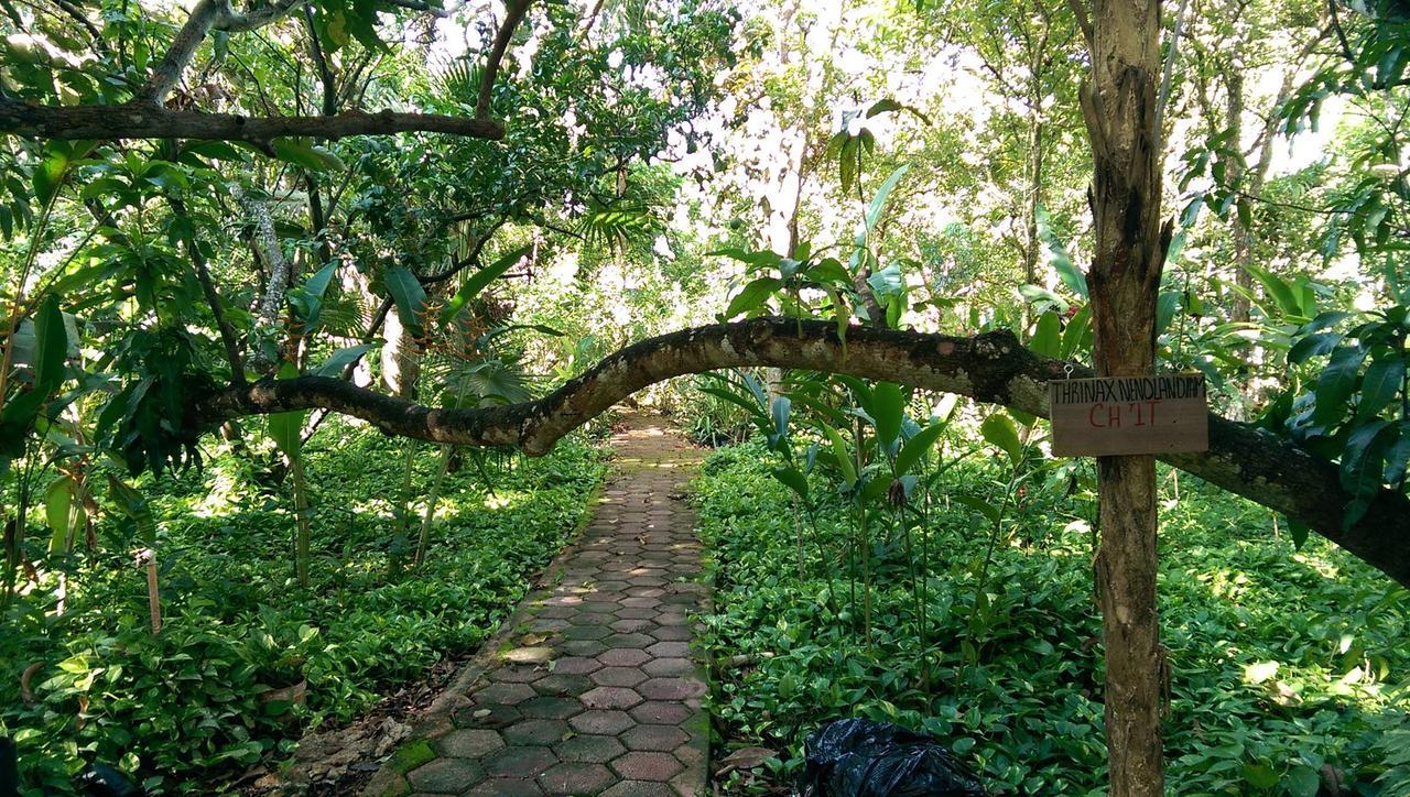 Ecotel Quinta Regia Вальядолид Экстерьер фото
